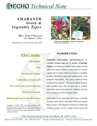 AMARANTH
Grain &
Ve g e t a b l e Ty p e s
By G. Kelly O’Brien and
Dr. Martin L. Price
Published 1983; revised by Larry Yarger 2008

Grain and Vegetable varieties of Amaranth
Photos by ECHO Staff

INTRODUCTION

What‟s Inside:
Description
Uses

Amaranth

[Amaranthus

hypochondriacus,

A.

cruentus (Grain type) & A. tricolor (Vegetable
type)] is an herbaceous annual with upright growth
habit, cultivated for both its seeds which are used as

Nutritional Content

a grain and its leaves which are used as a vegetable
or green. Both leaves and seeds contain protein of an

Cultivation of Amaranth

unusually high quality. The grain is milled for flour
or popped like popcorn. The leaves of both the grain

Harvesting and Seed Production

and vegetable types may be eaten raw or cooked.
Amaranths grown principally for vegetable use have

Pests and Diseases
Bibliography and Useful Resources

better tasting leaves then the grain types.
Originating in the Americas and Europe, amaranth
has been cultivated for more than 8,000 years, dating

Copyright © ECHO 1983. All rights reserved. This
document may be reproduced for training purposes if
distributed free of charge or at cost and credit is given to
ECHO. For all other uses, contact echo@echonet.org for
written permission.

back at least to the Mayan civilization of South and
Central America. It was a staple of the Aztecs and
was incorporated

 