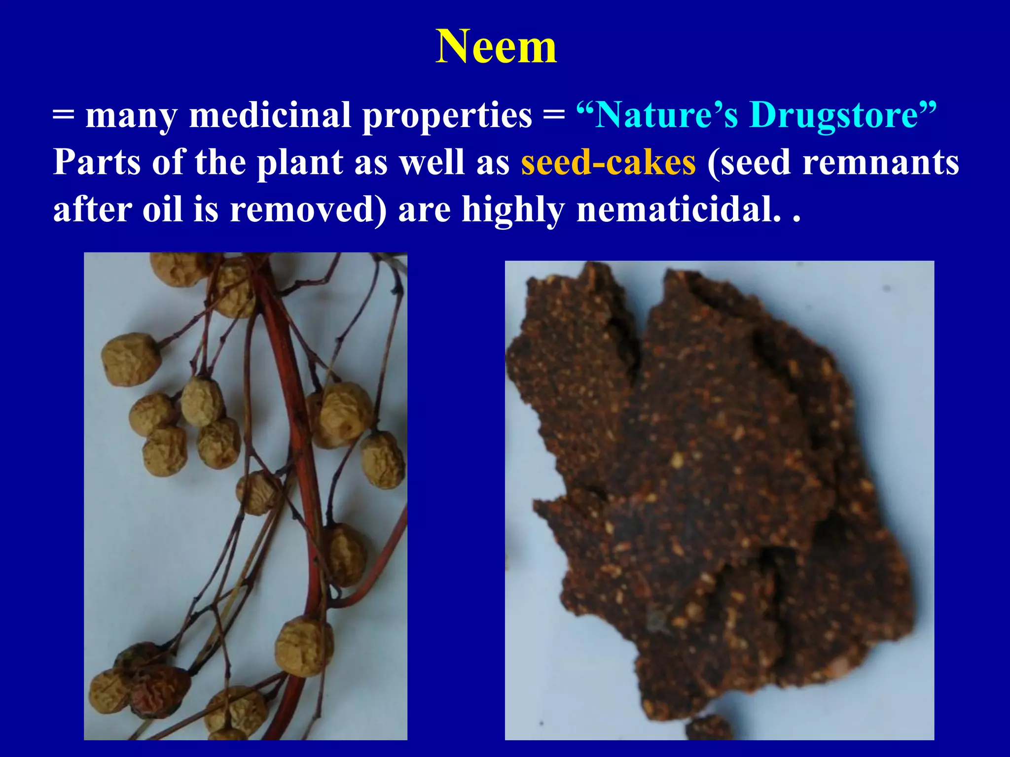 Neem
= many medicinal properties = “Nature’s Drugstore”
Parts of the plant as well as seed-cakes (seed remnants
after oil is removed) are highly nematicidal. .

 