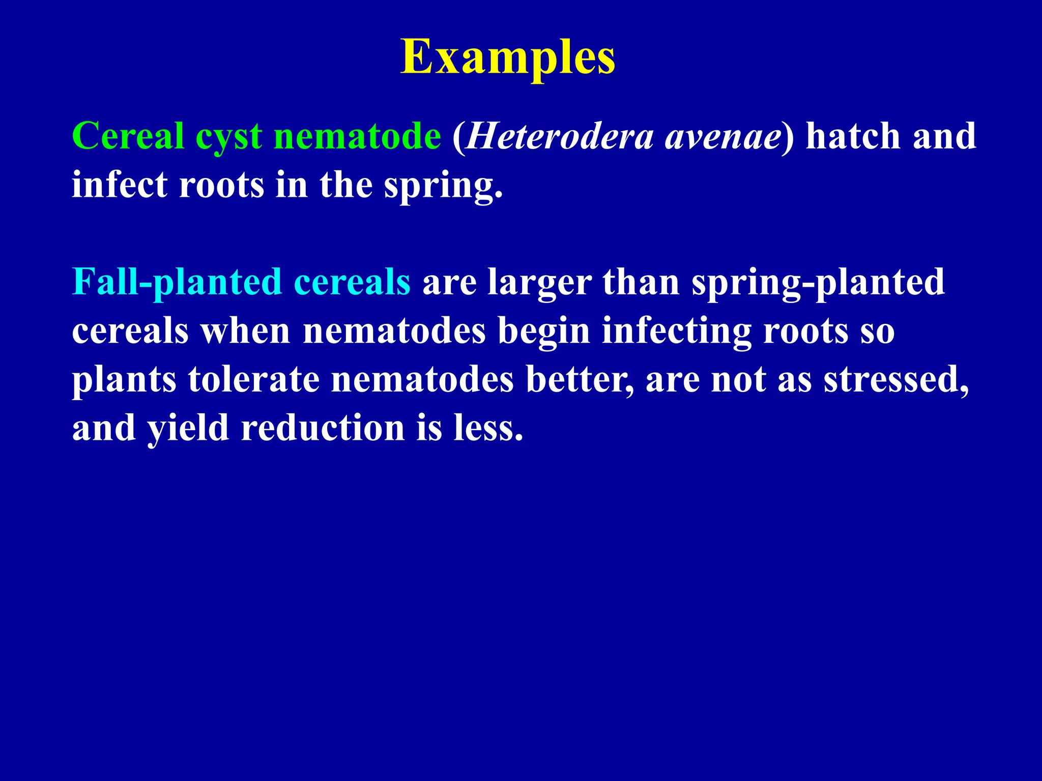 Examples
Cereal cyst nematode (Heterodera avenae) hatch and
infect roots in the spring.
Fall-planted cereals are larger than spring-planted
cereals when nematodes begin infecting roots so
plants tolerate nematodes better, are not as stressed,
and yield reduction is less.

 