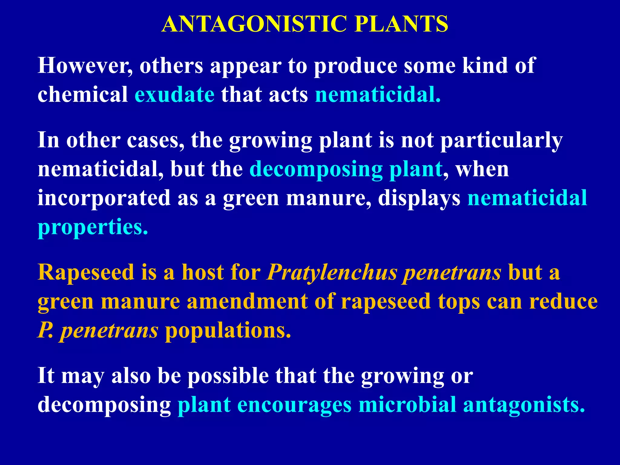 ANTAGONISTIC PLANTS
However, others appear to produce some kind of
chemical exudate that acts nematicidal.
In other cases, the growing plant is not particularly
nematicidal, but the decomposing plant, when
incorporated as a green manure, displays nematicidal
properties.
Rapeseed is a host for Pratylenchus penetrans but a
green manure amendment of rapeseed tops can reduce
P. penetrans populations.

It may also be possible that the growing or
decomposing plant encourages microbial antagonists.

 