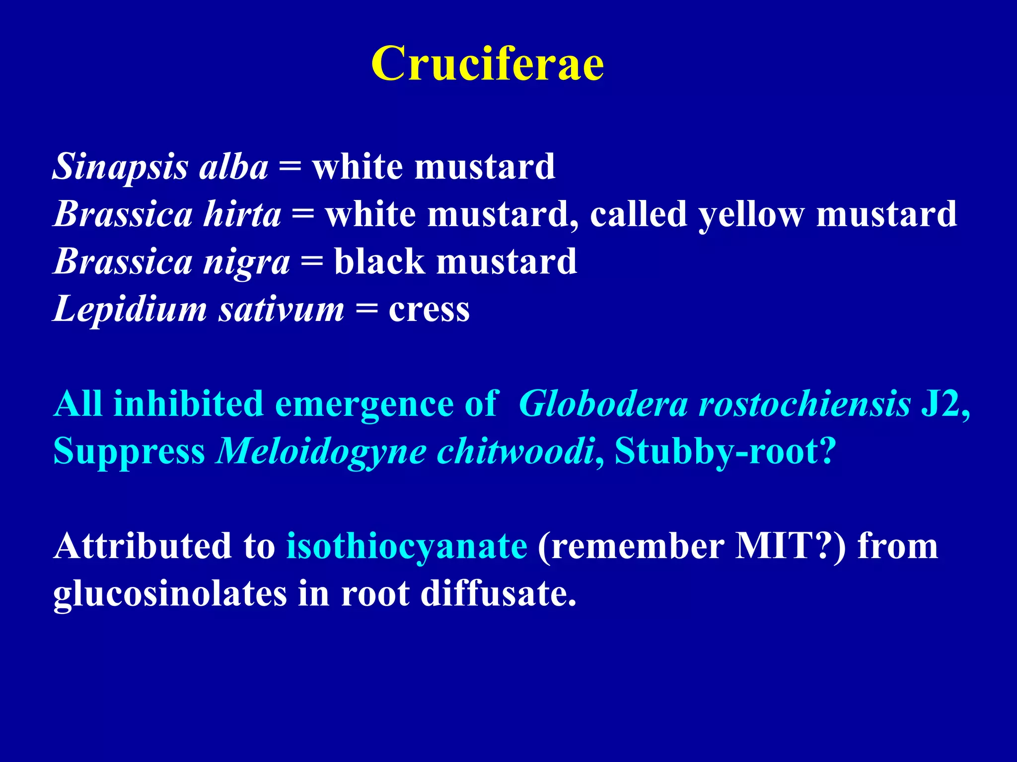 Cruciferae
Sinapsis alba = white mustard
Brassica hirta = white mustard, called yellow mustard
Brassica nigra = black mustard
Lepidium sativum = cress
All inhibited emergence of Globodera rostochiensis J2,
Suppress Meloidogyne chitwoodi, Stubby-root?
Attributed to isothiocyanate (remember MIT?) from
glucosinolates in root diffusate.

 
