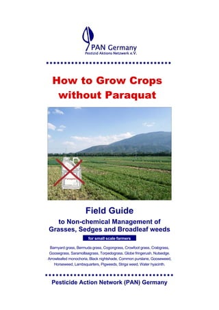 How to Grow Crops
without Paraquat

Field Guide
to Non-chemical Management of
Grasses, Sedges and Broadleaf weeds
for small scale farmers
Barnyard grass, Bermuda grass, Cogongrass, Crowfoot grass, Crabgrass,
Goosegrass, Saramollaagrass, Torpedograss. Globe fringerush, Nutsedge.
Arrowleafed monochoria, Black nightshade, Common purslane, Gooseweed,
Horseweed, Lambsquarters, Pigweeds, Striga weed, Water hyacinth.

Pesticide Action Network (PAN) Germany

 