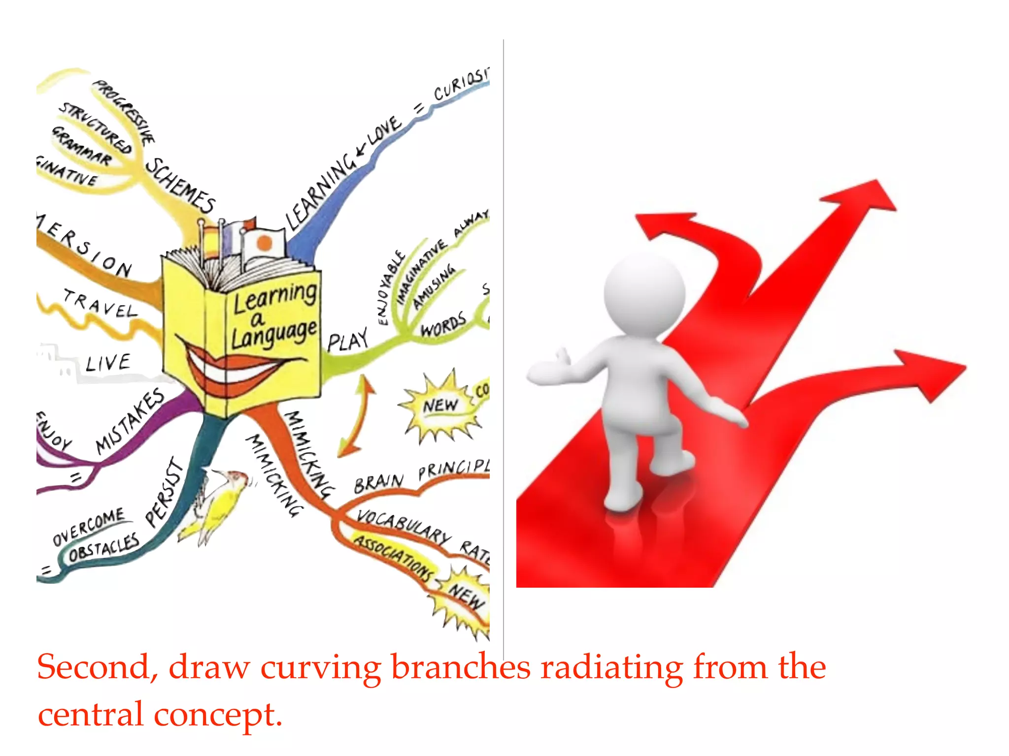 Second, draw curving branches radiating from the
central concept.
 