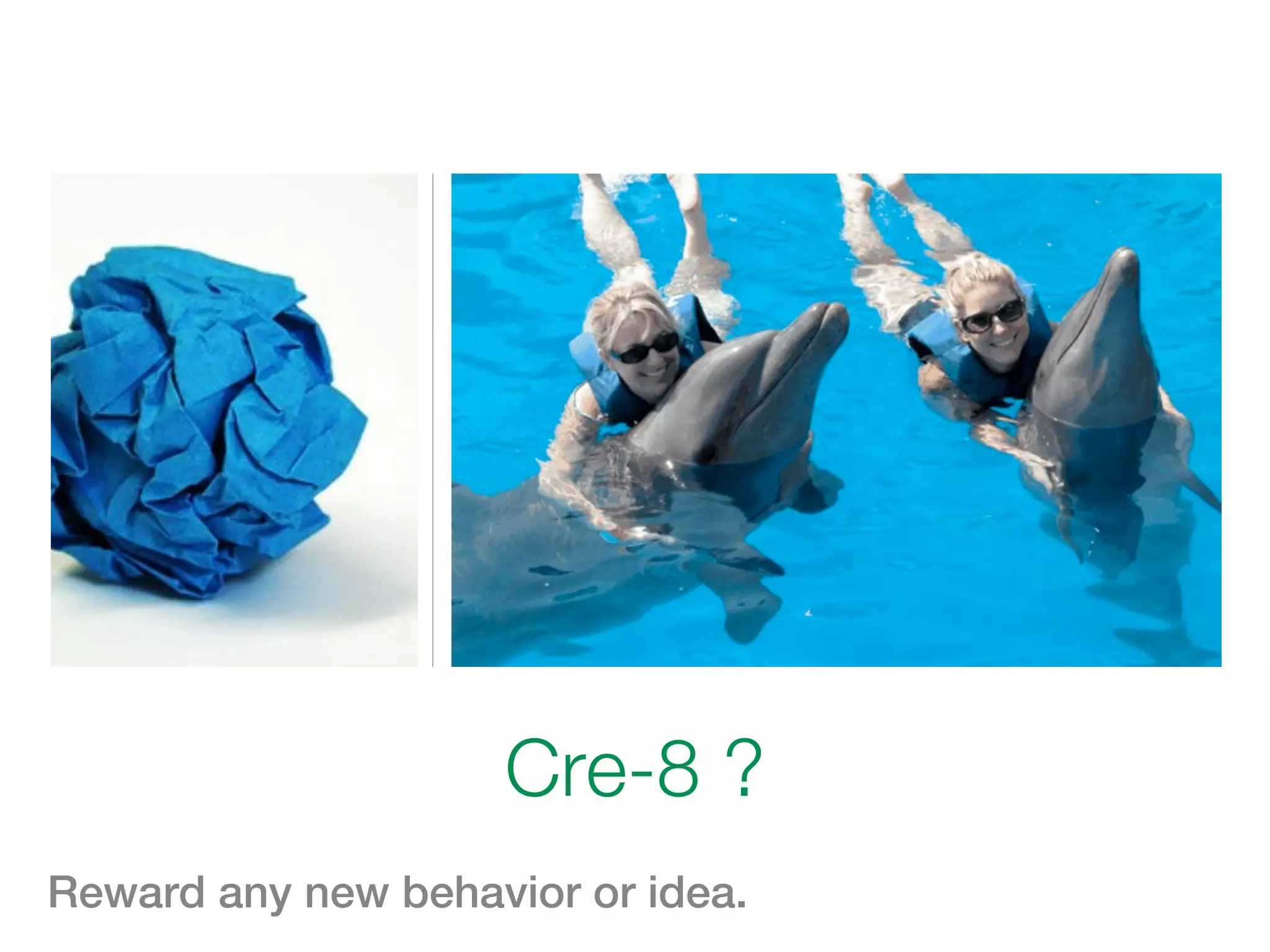 Cre-8 ?
Reward any new behavior or idea.
 