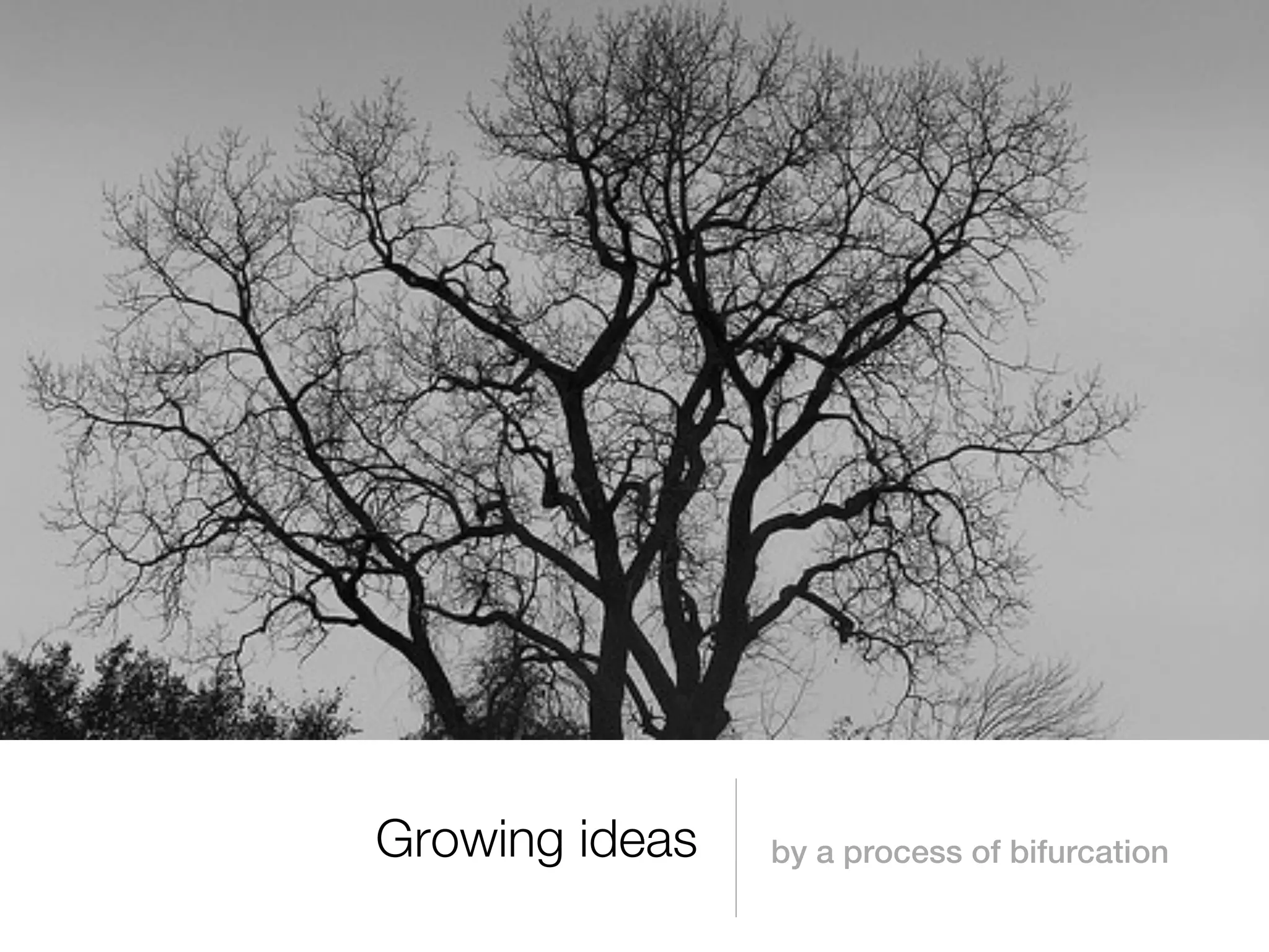 Growing ideas   by a process of bifurcation
 