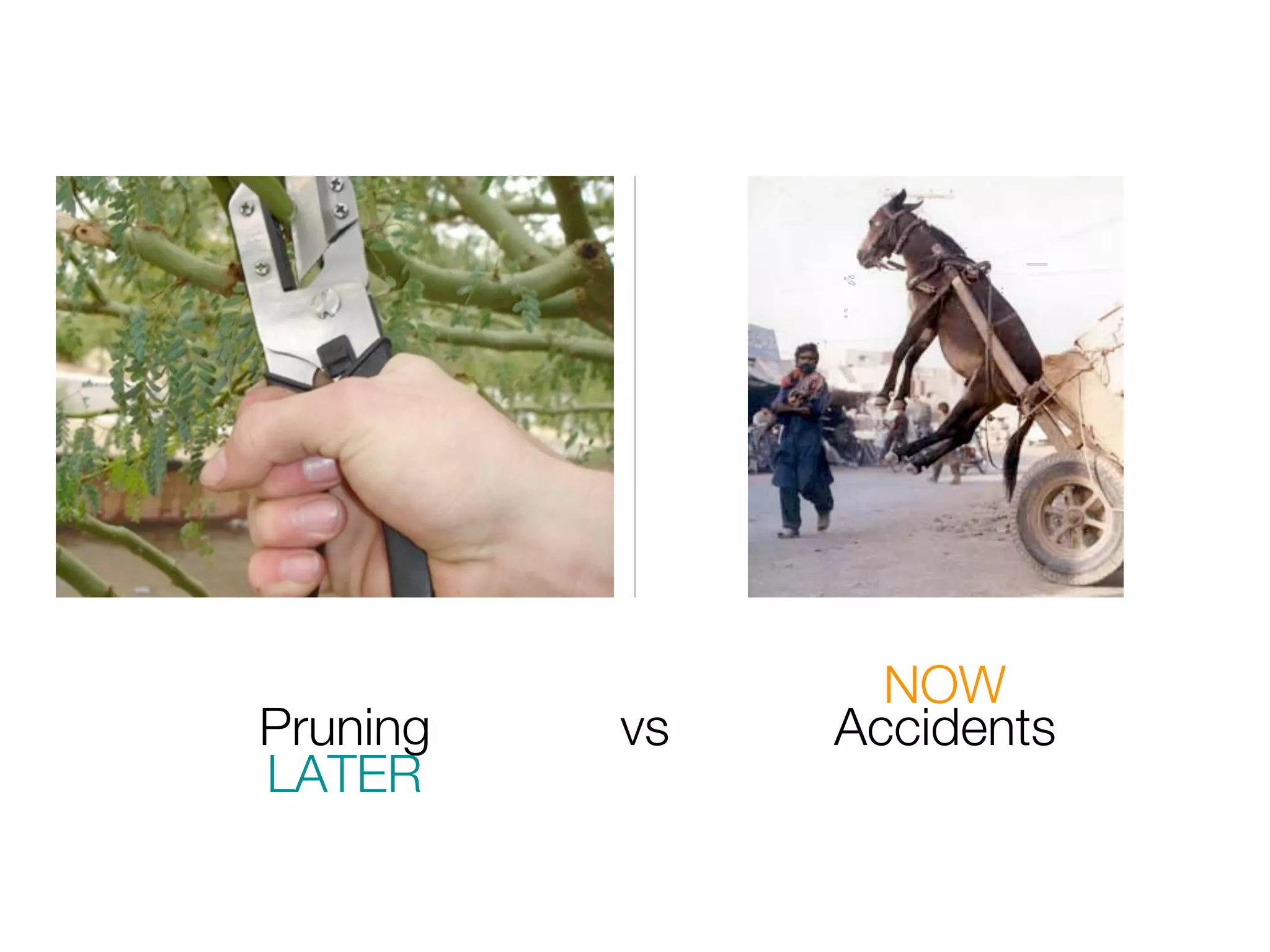 NOW
Pruning   vs   Accidents
LATER
 