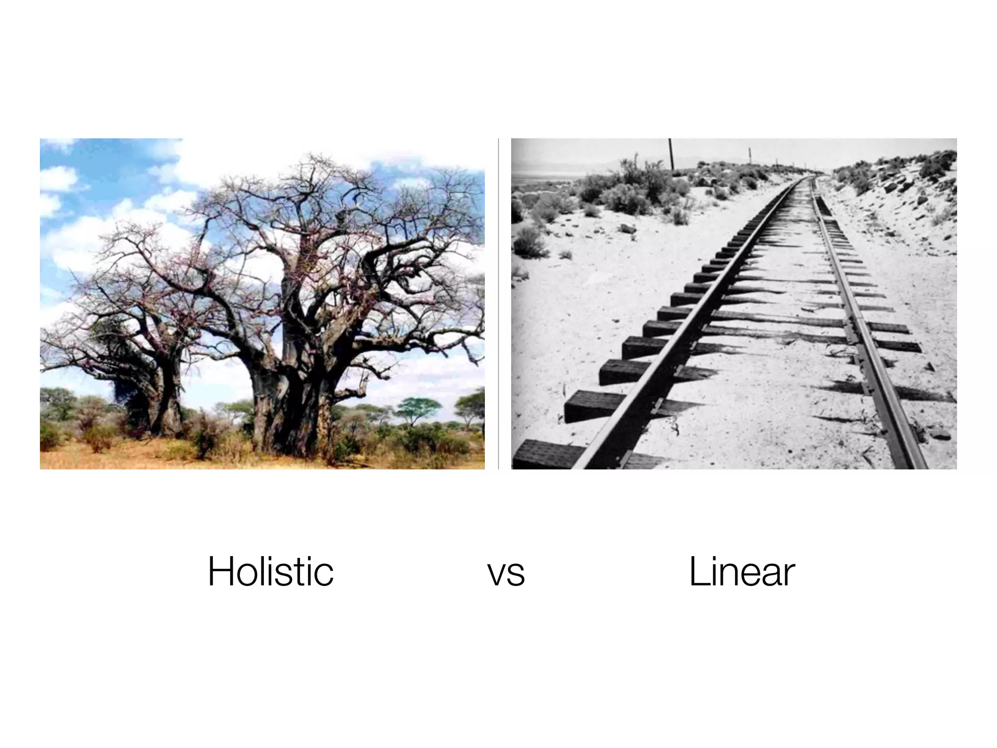 Holistic   vs   Linear
 