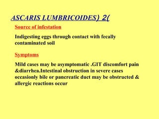 ASCARIS LUMBRICOIDES( 2) 
Source of infestation 
Indigesting eggs through contact with fecally 
contaminated soil 
Symptoms 
Mild cases may be asymptomatic .GIT discomfort pain 
&diarrhea.Intestinal obstruction in severe cases 
occasionly bile or pancreatic duct may be obstructed & 
allergic reactions occur 
 