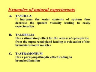 Examples of natural expectorants 
A. Tr.SCILLA 
It increases the water contents of sputum thus 
decrease the sputum viscosity leading to easily 
expectoration 
B. Tr.LOBELIA 
Has a stimulatory effect for the release of epinephrine 
from the supra renal gland leading to relaxation of the 
bronchial smooth muscles 
C. Tr.STRAMONIUM 
Has a parasympatholytic effect leading to 
bronchodilatation 
 
