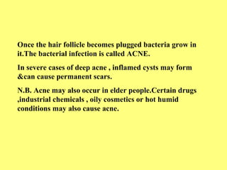 Once the hair follicle becomes plugged bacteria grow in 
it.The bacterial infection is called ACNE. 
In severe cases of deep acne , inflamed cysts may form 
&can cause permanent scars. 
N.B. Acne may also occur in elder people.Certain drugs 
,industrial chemicals , oily cosmetics or hot humid 
conditions may also cause acne. 
 