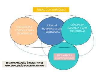 Porque o desenvolvimento das capacidades de leitura dos alunos supõe conhecimentos específicos (das várias disciplinas) que muitas vezes o professor de português não possui;