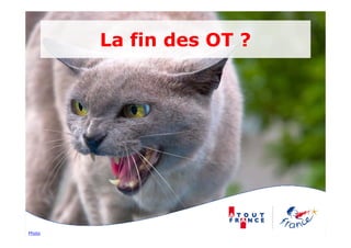 La fin des OT ?




Photo
 