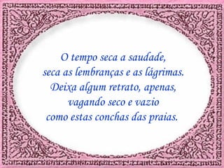 O tempo seca a saudade, seca as lembranças e as lágrimas. Deixa algum retrato, apenas, vagando seco e vazio como estas conchas das praias.