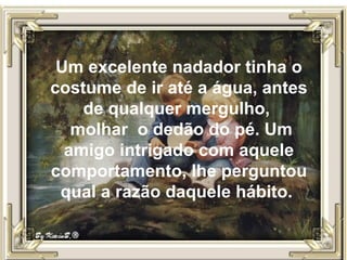 Um excelente nadador tinha o
costume de ir até a água, antes
de qualquer mergulho,
molhar o dedão do pé. Um
amigo intrigado com aquele
comportamento, lhe perguntou
qual a razão daquele hábito.
 