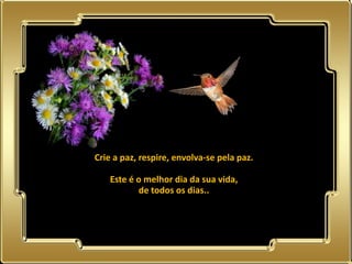 Crie a paz, respire, envolva-se pela paz.

              Este é o melhor dia da sua vida,
                     de todos os dias..




02.05.11
 