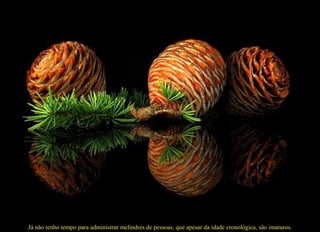 Já não tenho tempo para administrar melindres de pessoas, que apesar da idade cronológica, são imaturos. 