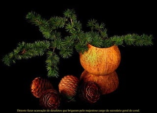 Detesto fazer acareação de desafetos que brigaram pelo majestoso cargo de secretário geral do coral. .       