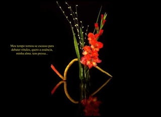 Meu tempo tornou-se escasso para debater rótulos, quero a essência, minha alma.  tem pressa... 