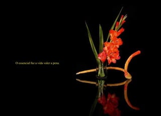 O essencial faz a vida valer a pena.   