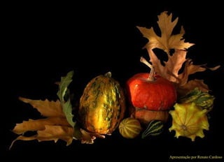 Apresentação por Renato Cardoso 