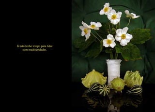 Já não tenho tempo para lidar com mediocridades. 