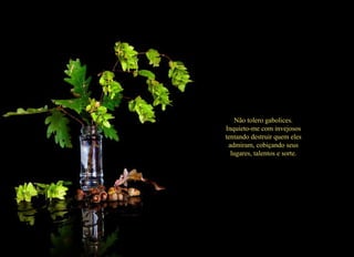 Não tolero gabolices. Inquieto-me com invejosos tentando destruir quem eles admiram, cobiçando seus lugares, talentos e sorte. 