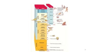 geologiaparatecnicos.blogspot.com

21

 