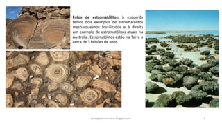 Fotos de estromatólitos: à esquerda
temos dois exemplos de estromatólitos
mesoarqueanos fossilizados e à direita
um exemplo de estromatólitos atuais na
Austrália. Estromatólitos estão na Terra a
cerca de 3 bilhões de anos.

geologiaparatecnicos.blogspot.com

9

 