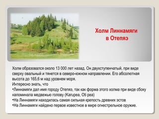 Холм Линнамяги
в Отепяэ
Холм образовался около 13 000 лет назад. Он двухступенчатый, при виде
сверху овальный и тянется в северо-южном направлении. Его абсолютная
высота до 165,6 м над уровнем моря.
Интересно знать, что
•Линнамяги дал имя городу Отепяэ, так как форма этого холма при виде сбоку
напоминала медвежью голову (Karupea, Oti pea)
•На Линнамяги находилась самая сильная крепость древних эстов
•На Линнамяги найдено первое известное в мире огнестрельное оружие.
 
