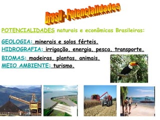 POTENCIALIDADES naturais e econômicas Brasileiras:

GEOLOGIA: minerais e solos férteis.
HIDROGRAFIA: irrigação, energia, pesca, transporte.
BIOMAS: madeiras, plantas, animais.
MEIO AMBIENTE: turismo.
 
