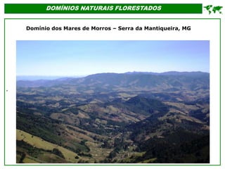 '
DOMÍNIOS NATURAIS FLORESTADOS

Domínio dos Mares de Morros – Serra da Mantiqueira, MG
 
