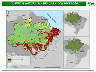 '
DOMÍNIOS NATURAIS: AMEAÇAS À CONSERVAÇÃO

 
