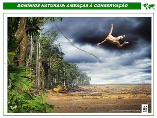 '
DOMÍNIOS NATURAIS: AMEAÇAS À CONSERVAÇÃO

 