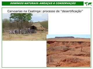 '
DOMÍNIOS NATURAIS: AMEAÇAS À CONSERVAÇÃO

Carvoarias na Caatinga: processo de ''desertificação''
 