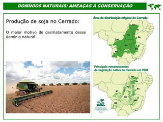'
DOMÍNIOS NATURAIS: AMEAÇAS À CONSERVAÇÃO

Produção de soja no Cerrado:
O maior motivo de desmatamento desse
domínio natural.
 