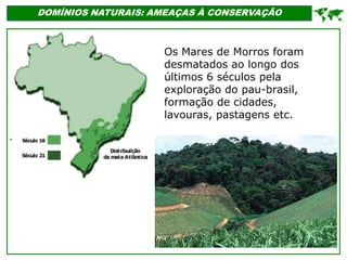 '
DOMÍNIOS NATURAIS: AMEAÇAS À CONSERVAÇÃO

Os Mares de Morros foram
desmatados ao longo dos
últimos 6 séculos pela
exploração do pau-brasil,
formação de cidades,
lavouras, pastagens etc.
 