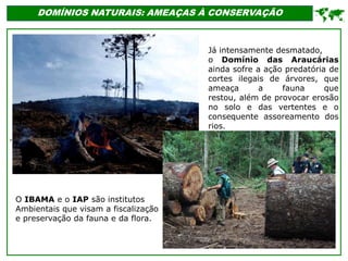 '
DOMÍNIOS NATURAIS: AMEAÇAS À CONSERVAÇÃO

Já intensamente desmatado,
o Domínio das Araucárias
ainda sofre a ação predatória de
cortes ilegais de árvores, que
ameaça a fauna que
restou, além de provocar erosão
no solo e das vertentes e o
consequente assoreamento dos
rios.
O IBAMA e o IAP são institutos
Ambientais que visam a fiscalização
e preservação da fauna e da flora.
 