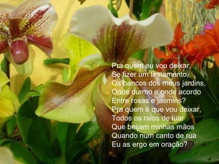 Pra quem eu vou deixar, Se fizer um testamento, Os bancos dos meus jardins, Onde durmo e onde acordo Entre rosas e jasmins? Pra quem é que vou deixar, Todos os raios de luar Que beijam minhas mãos Quando num canto de rua Eu as ergo em oração? 