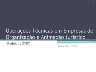 Operações Técnicas em Empresas de
Organização e Animação turístico
Modulo 11 OTET
1
Carina Silva Turismo
 