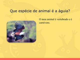 Que espécie de animal é a águia? O meu animal é vertebrado e é carnívoro. 