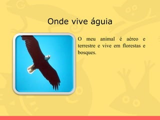 Onde vive águia O meu animal é aéreo e terrestre e vive em florestas e bosques. 