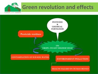 Green revolution and effects
PESTICIDE
&
CHEMICAL
FERTILISERS
ON
CROPS –TO GET HIGHER YIELD
Pesticide residues
CONTAMINATION OF SUB SOIL WATER
ENVIRONMENT POLLUTION
HEALTH HAZARD ON HUMAN BEINGS
 