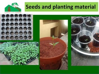 Seeds and planting material
 