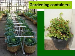 Gardening containers
 