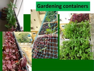 Gardening containers
 