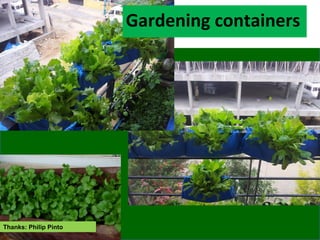 Thanks: Philip Pinto
Gardening containers
 