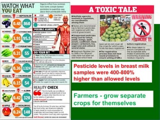 Farmers - grow separate
crops for themselves
Pesticide levels in breast milk
samples were 400-800%
higher than allowed levels
 