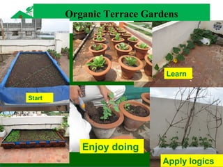 Apply logics
Enjoy doing
Learn
Organic Terrace Gardens
Start
 