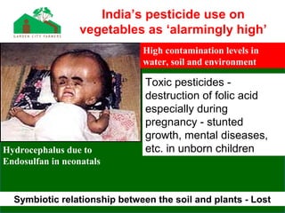 Hydrocephalus due to
Endosulfan in neonatals
High contamination levels in
water, soil and environment
Toxic pesticides -
destruction of folic acid
especially during
pregnancy - stunted
growth, mental diseases,
etc. in unborn children
Symbiotic relationship between the soil and plants - Lost
India’s pesticide use on
vegetables as ‘alarmingly high’
 