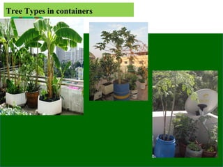 Tree Types in containers
 